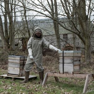 Bee Keeping