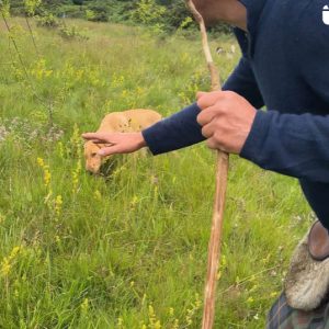 Herbal Walk at COTW HQ