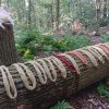 Wool Week - Image 4