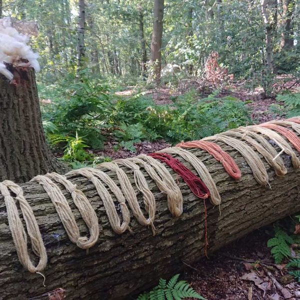 Wool Week with Wilderness Folk School