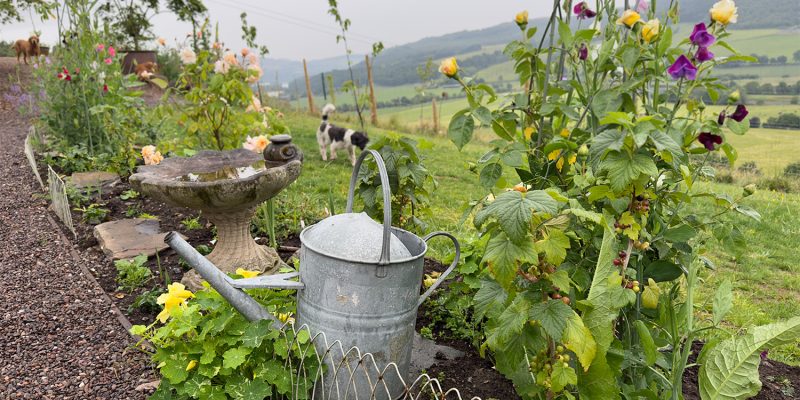 Garden Visits